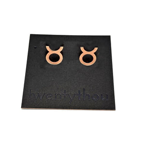 What's Your Sign - Zodiac Stud Earrings